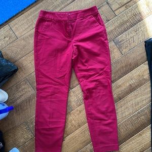 Express columnist dress pant